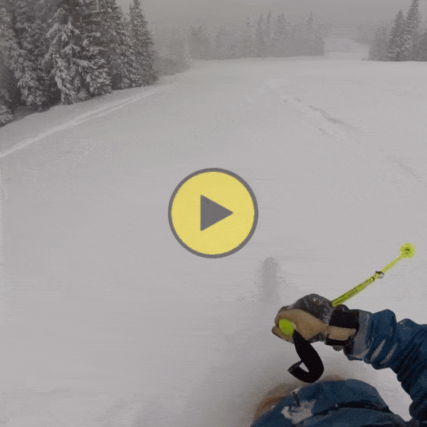 Friends on a pow day!