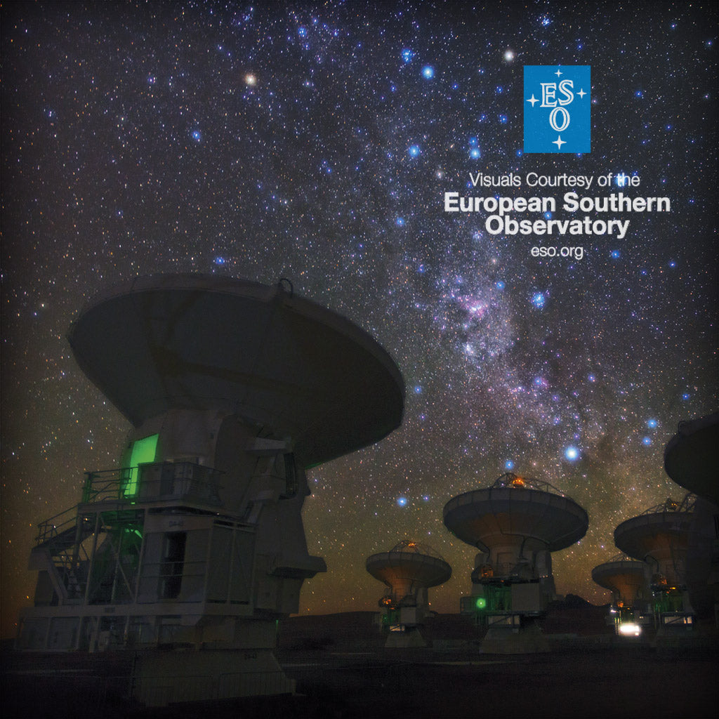 The Vacation "WE ARE NOT ALONE" ESO x J Collab Limited Edition Ski