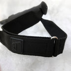 18/19 - Titanal Ski Poles